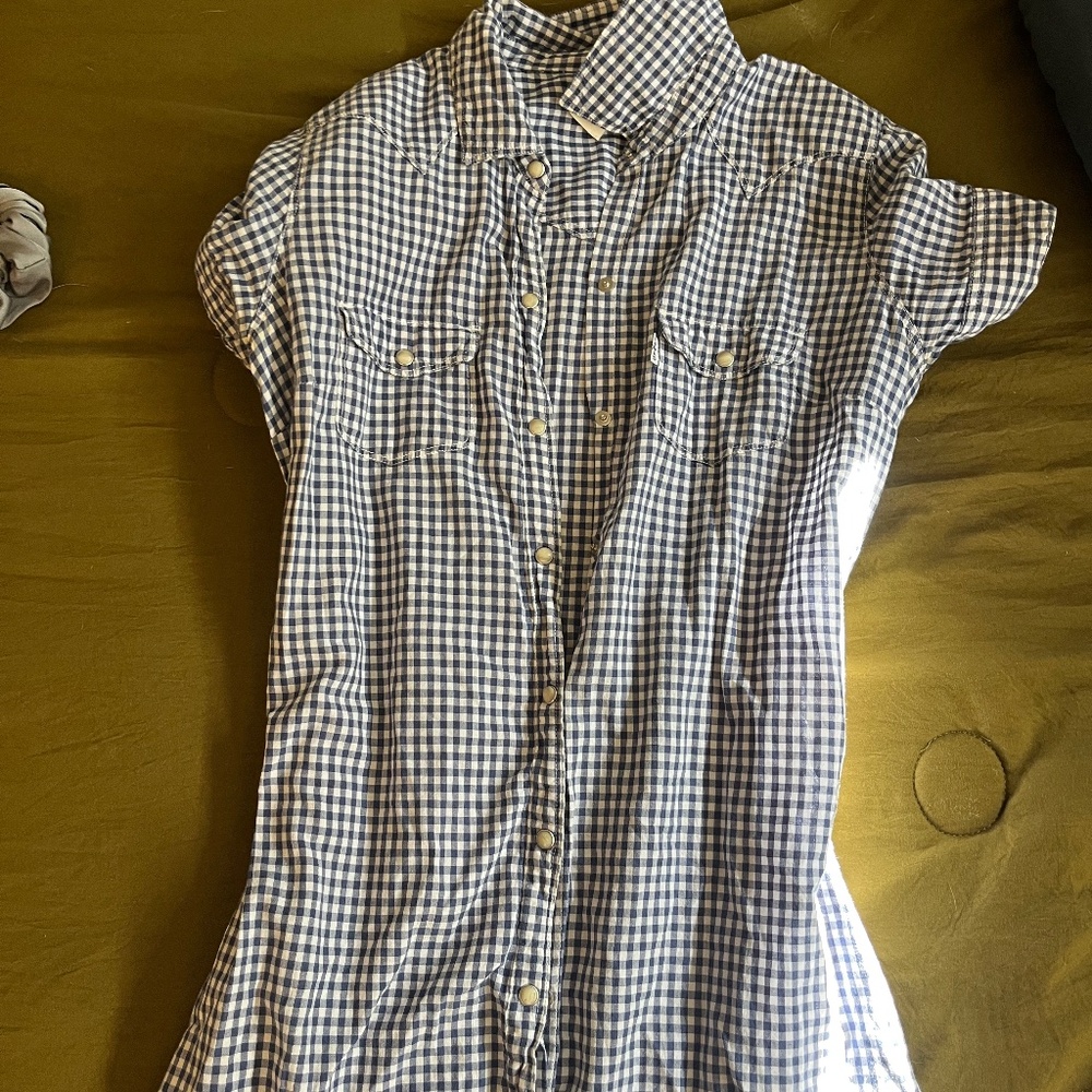 Gingham Levi Dress